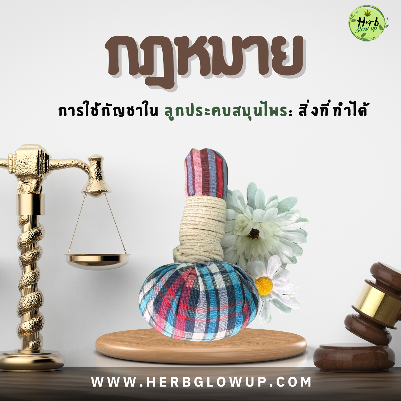 กฎหมายลูกประคบสมุนไพร