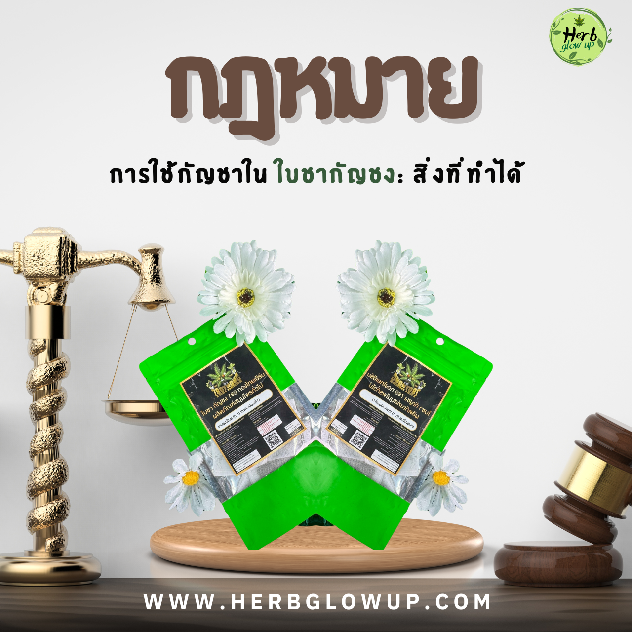 กฎหมายใบชากัญชง