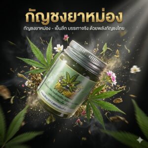 กัญชงยาหม่องAI
