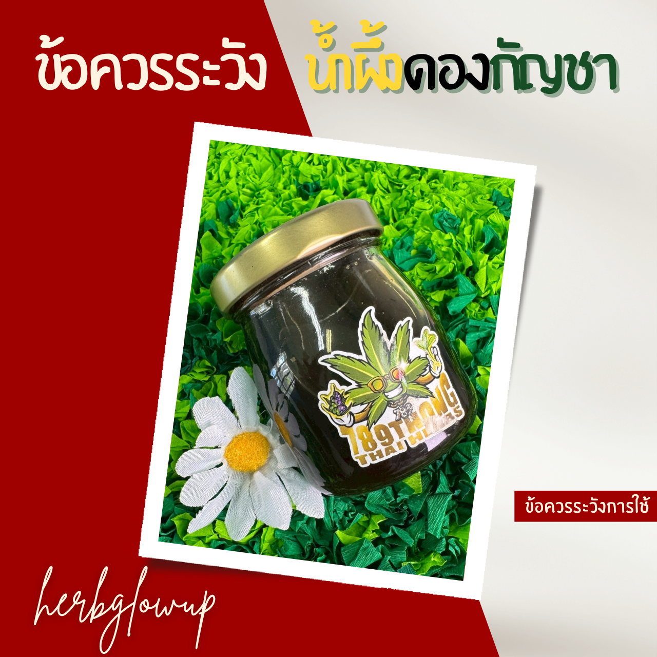 ข้อควรระวังการใช้น้ำผึ้งดองกัญชา