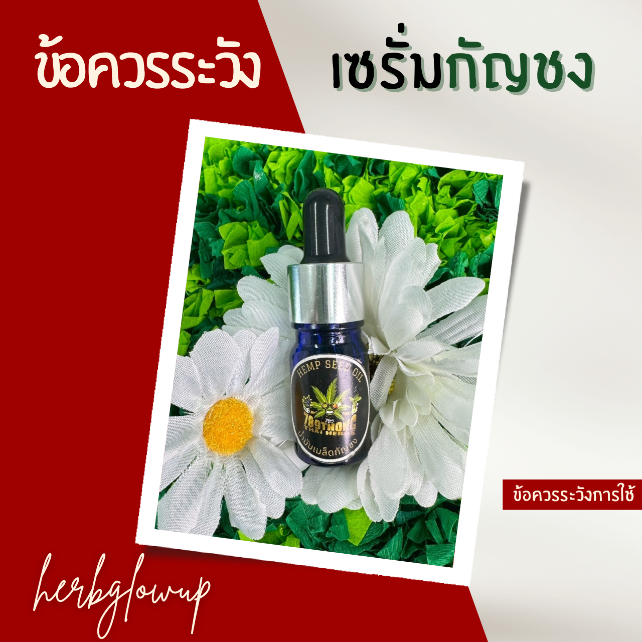 ข้อควรระวังการใช้เซรั่มกัญชง