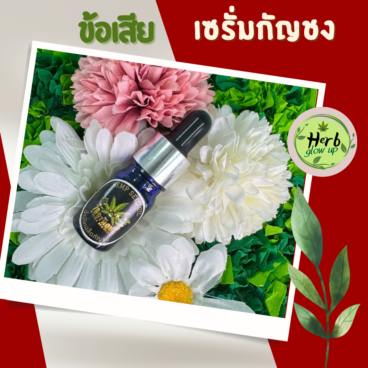 ข้อเสียเซรั่มกัญชง