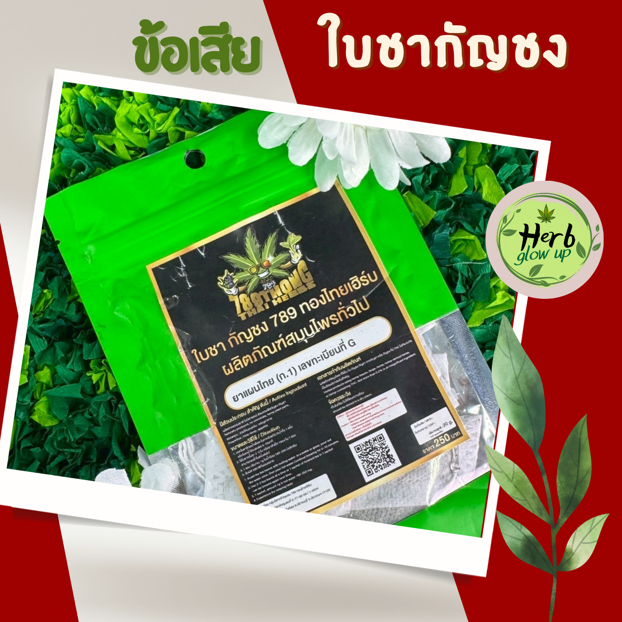 ข้อเสียใบชากัญชง