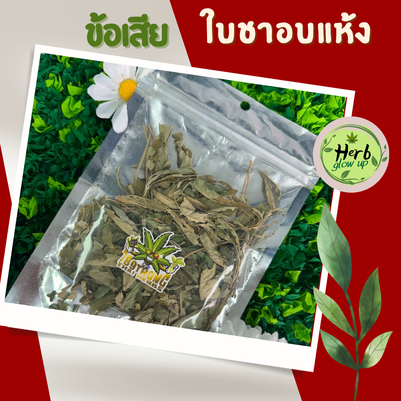 ข้อเสียใบชาอบแห้ง