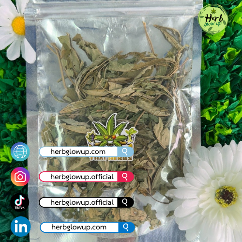 ช่องทางการสั่งซื้อใบกัญชาอบแห้ง