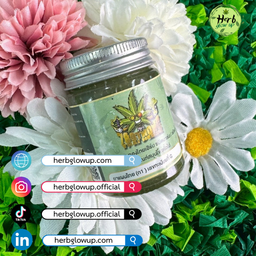 ติดต่อกัญชงยาหม่อง