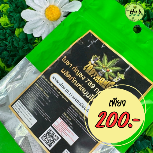 ราคา ใบชากัญชง