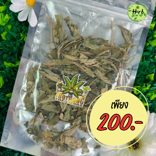 ราคาใบกัญชาอบแห้ง
