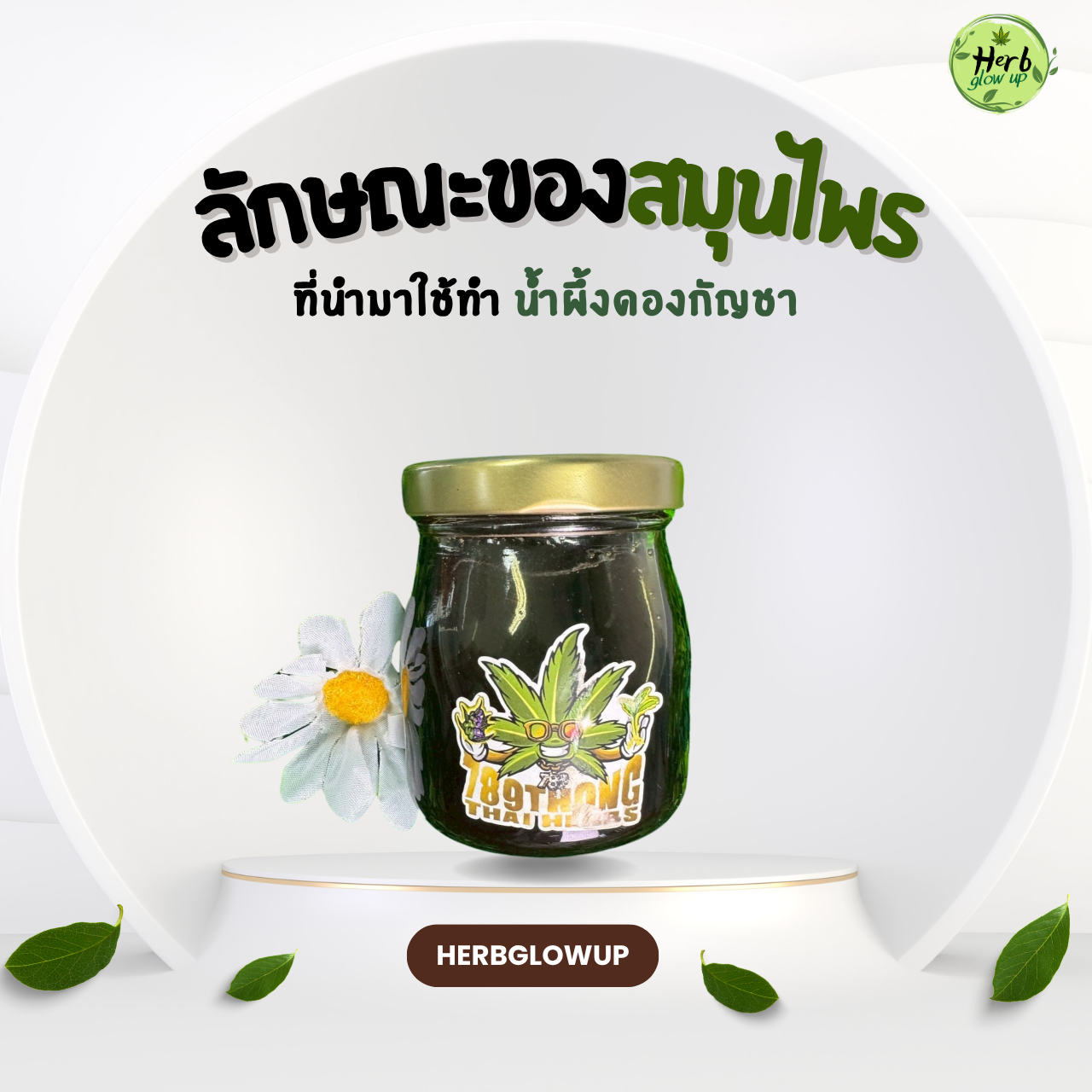 ลักษณะของสมุนไพรที่นำมาทำ น้ำผึ้งดองกัญชา