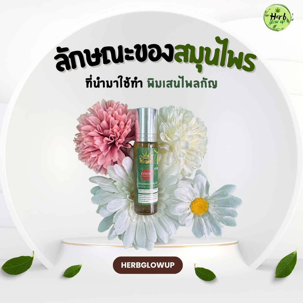 ลักษณะของสมุนไพรที่นำมาทำ พิมเสนไพลกัญ