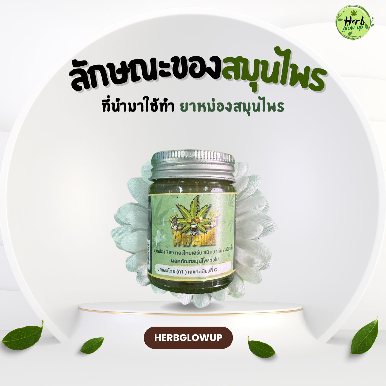 ลักษณะของสมุนไพรที่นำมาทำ ยาหม่องสมุนไพร