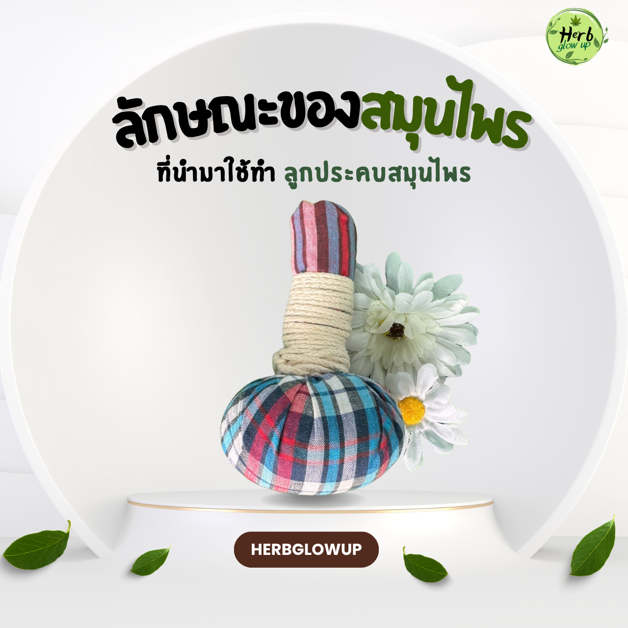 ลักษณะของสมุนไพรที่นำมาทำ ลูกประคบสมุนไพร