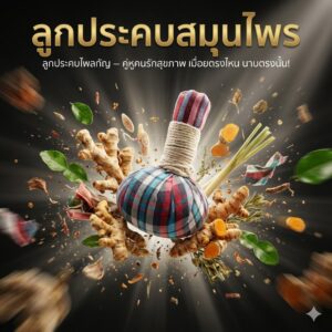 ลูกประคบสมุนไพรAI