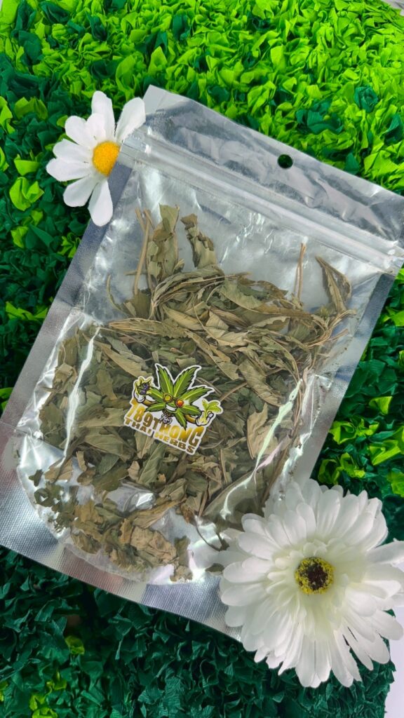 วิธีการเก็บรักษา ใบกัญชาอบแห้ง2