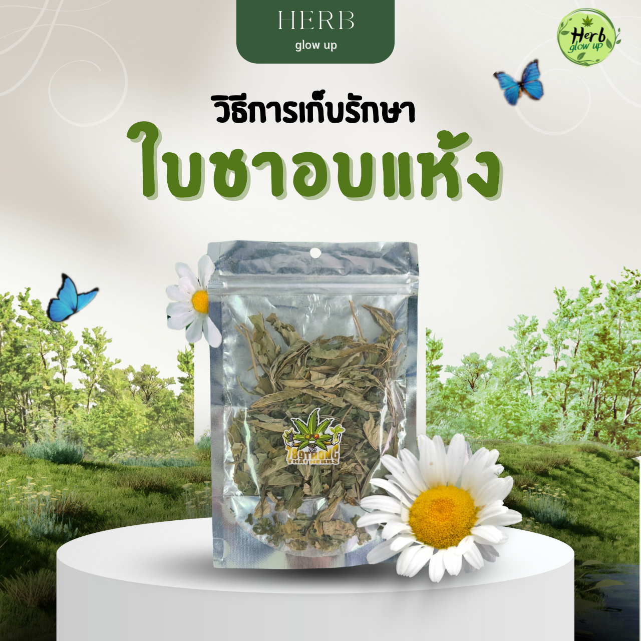 วิธีการเก็บรักษาใบชาอบแห้ง