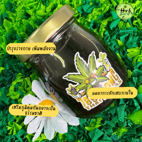 สรรพคุณน้ำผึ้งดองกัญชา