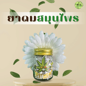 สินค้ายาดมสมุนไพร