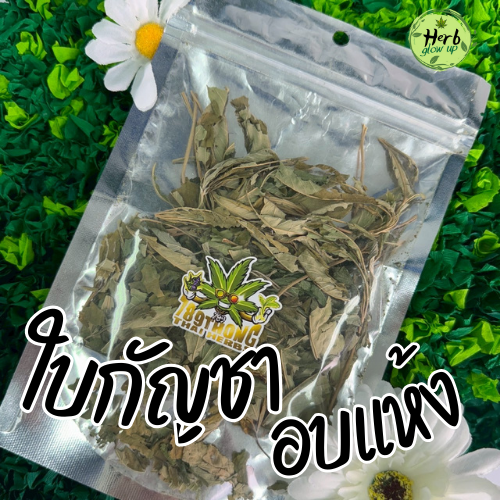 ใบกัญชาอบแห้ง