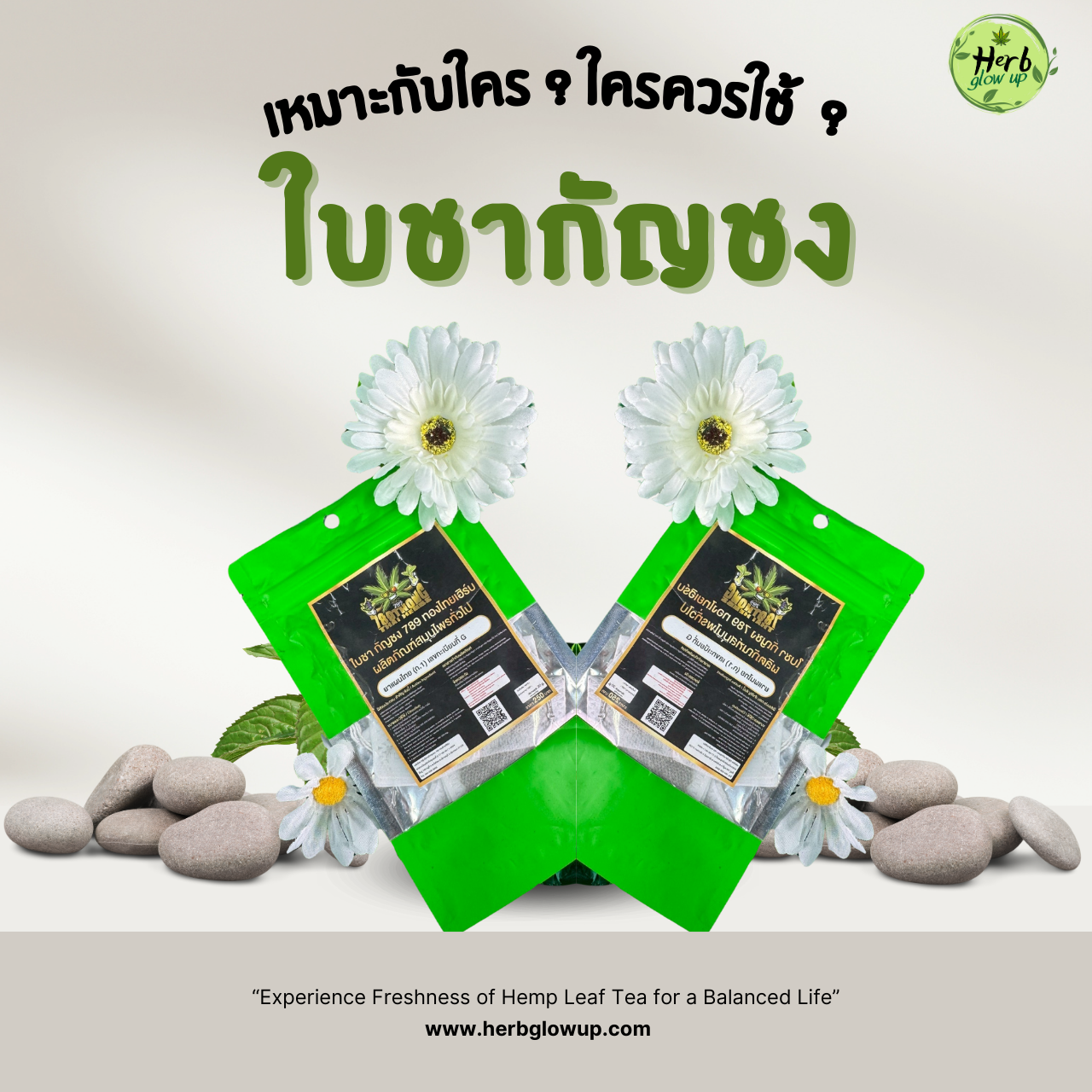 ใบชากัญชงเหมาะกับใคร